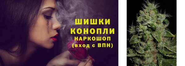 амф Арсеньев