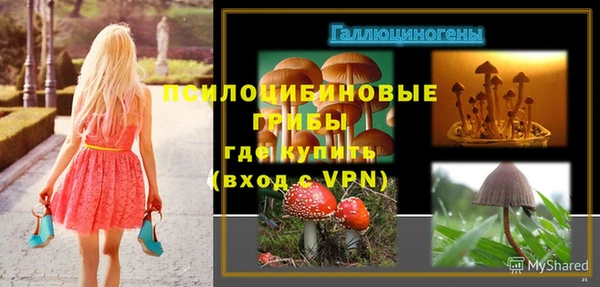 прущая мука Армянск