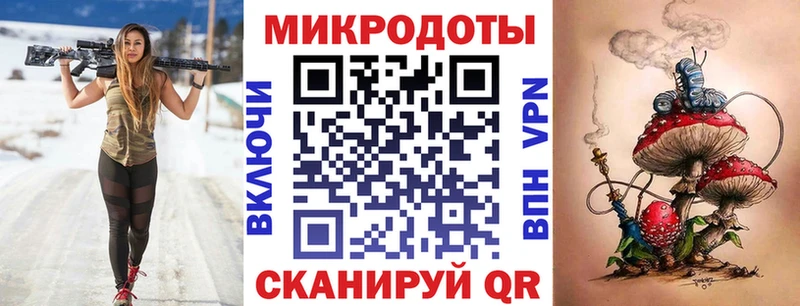 Псилоцибиновые грибы Psilocybe  Никольск 